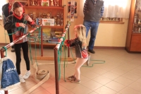 carousel_pic