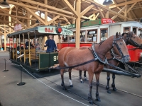 carousel_pic